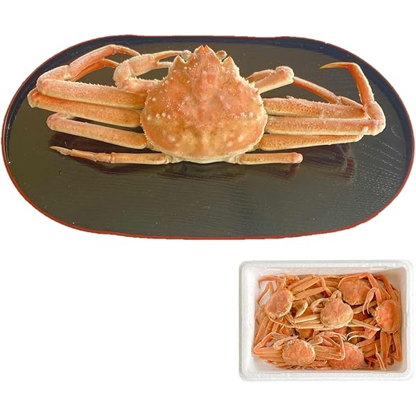北海道産活オオズワイガニ 訳あり品 10杯 訳あり】活発送!北海道噴火湾産活オオズワイガニ(中小サイズ)約
